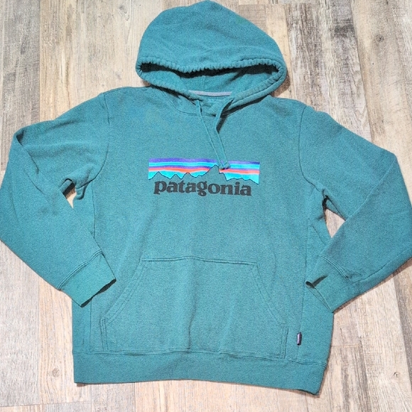 Patagonia Other - Patagonia Men's Borealis Green Hoodie